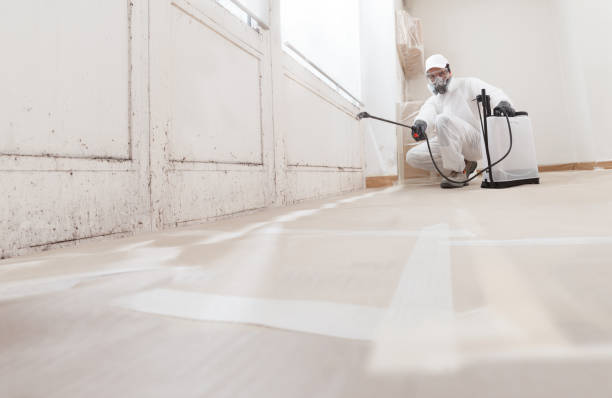 24/7 Emergency Crawl Space Mold Remediation experts in Bedford, VA