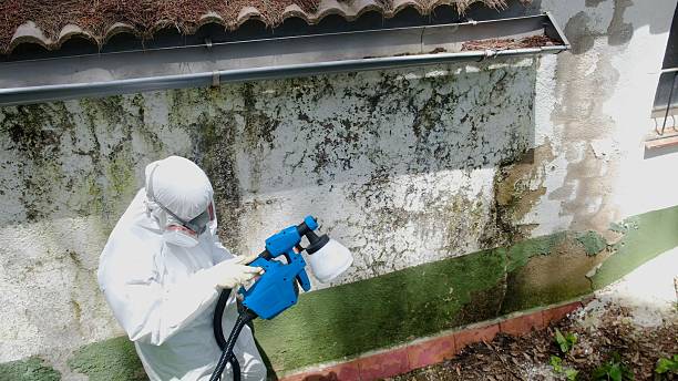Top rated local Crawl Space Mold Remediation specialists in Bedford, VA
